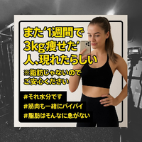 画像242
