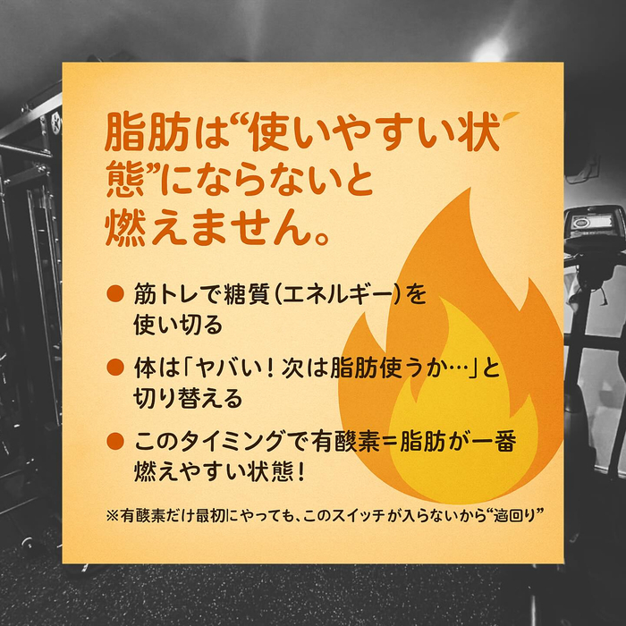 画像247